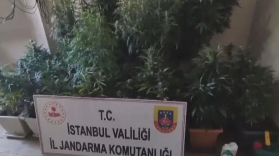 Arnavutköy’de 580 gündür aranan firari, evinde uyuşturucu yetiştiren yakalandı