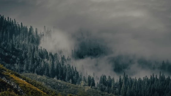 Türkiye’de hava hareketlendi: Yoğun sis ve sağanak yağış uyarısı!