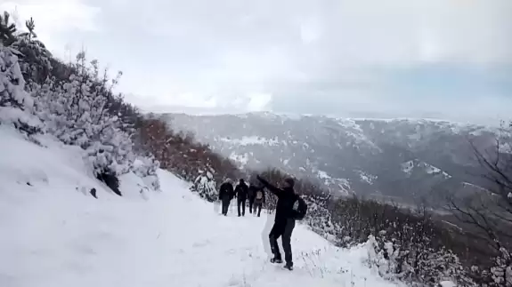 Dağda gezinti yaparken önlerine kurt çıktı: O anlar kamerada