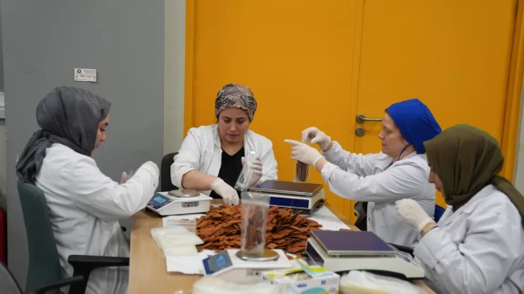 Paça çorbasından cips yaptı!