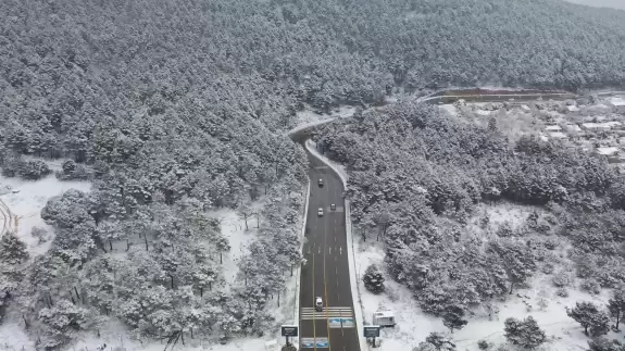Aydos Ormanı beyaz gelinliğini giydi