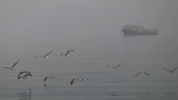 Tekirdağ'da yoğun sis etkili oluyor