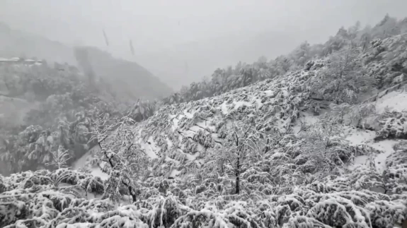Zonguldak'ta kış geldi: Gümeli beldesinde kar kalınlığı 20 cm'ye ulaştı