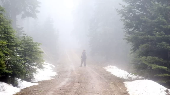 Ilgaz Dağı Kayak Merkezi'nde sis ve kar yağışı etkili oluyor