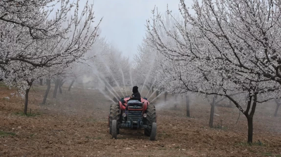 Kayısı üreticileri yeni sezon hazırlıklarına başladı