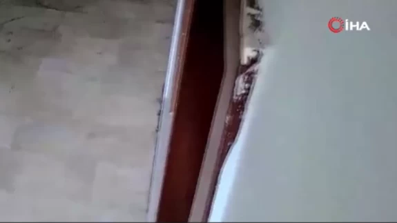 İstanbul'da yaşanan deprem anları işyerlerinin güvenlik kameralarında yansıdı