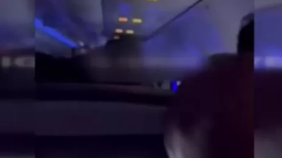 Havada büyük panik! Yolcu uçağının motoruna tavşan girdi