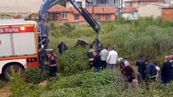Edirne'de çukura düşen at, vinçle kurtarıldı