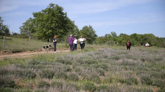 Arıcılık ve turizm bir arada: Apiturizm
