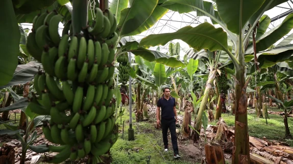 Genç çiftçi tarımda dijitalleşmeyi hedefliyor