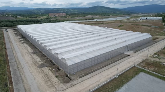 Sera organize tarım bölgesi, ekonomiye 750 milyon lira katkı sağlayaca