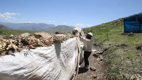 2 bin 156 rakımlı yaylada tescilli bal üretimi yapıyorlar