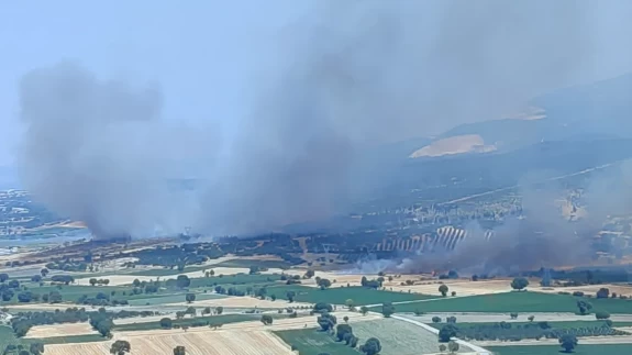 İzmir'de ormanlık alanda çıkan yangına havadan ve karadan müdahale