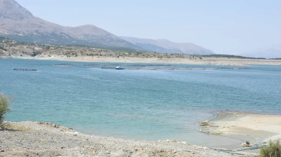 Alabalık tesisi sayısı gün geçtikçe artıyor