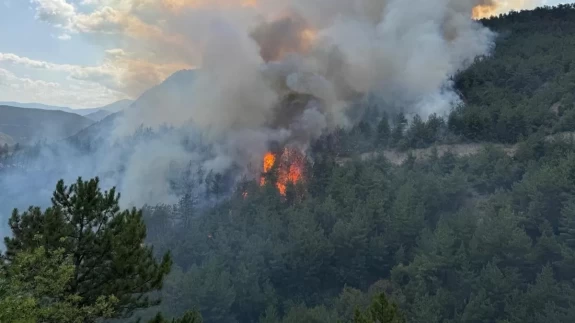 Karabük'te alevler tekrar yükseldi