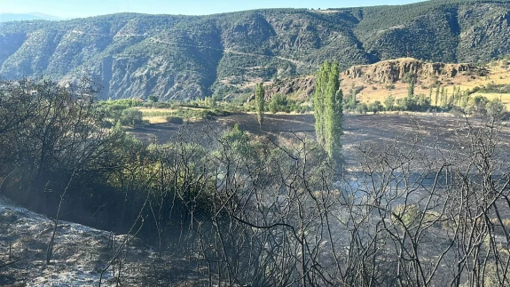 Kastamonu Tosya’da yangın! Tarım arazisi ve depolar küle döndü
