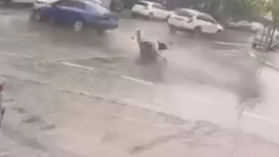 Polisin 'dur' ihtarına uymadı! Önce yayalara, ardından araçlara çarptı