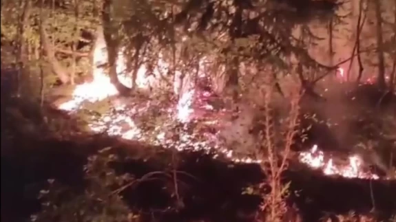 Düzce'de çıkan orman yangını itfaiye ve vatandaşın işbirliğiyle söndürüldü