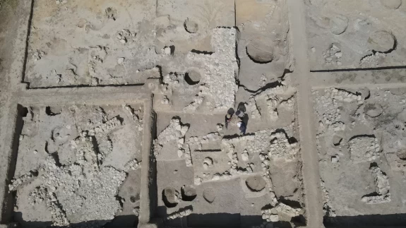 Nerik'te 3 bin 500 yıllık fındık fosili bulundu