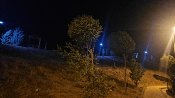 Elazığ'da kuvvetli rüzgar etkisini sürdürüyor