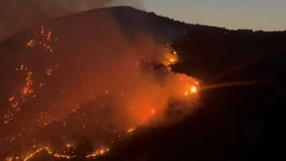 Söke’de korku dolu anlar! Yangın kısa sürede büyüdü