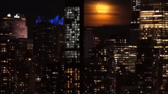 New York semalarında “Corn Moon” büyüledi