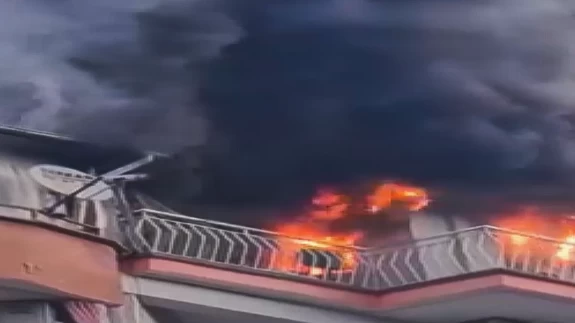 Manisa’da korkunç yangın! 6 kedi telef oldu