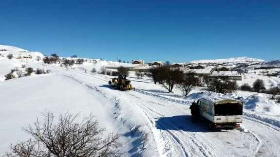 Elazığ’da kar altında hayvanlara destek seferberliği: Sokaklar mama dolu!