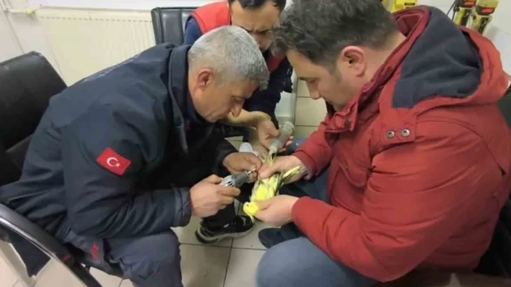 Papağanın ayağına sıkıştı! İtfaiye devreye girdi