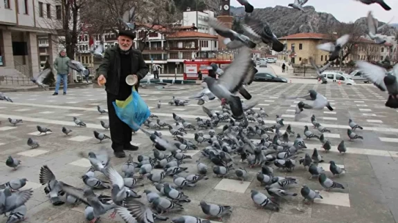 84 yaşındaki “Yemci Dede” 20 yıldır sokak güvercinlerini besliyor