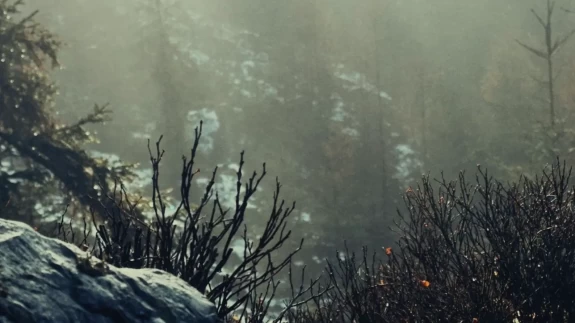 Türkiye genelinde yağış, don ve kuvvetli rüzgar uyarısı