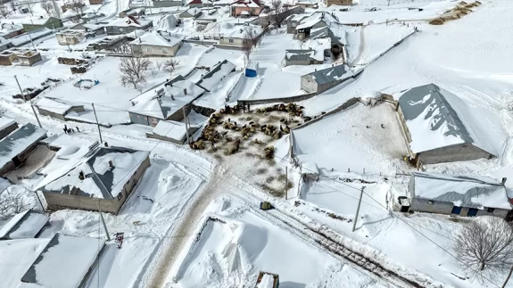 Süphan Dağı eteğinde kar hayatı zorluyor: Köylüler kara karşı mücadele ediyor