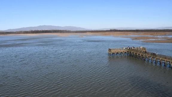 Doğaseverler Efteni Gölü Kuş Cenneti'nde buluştu