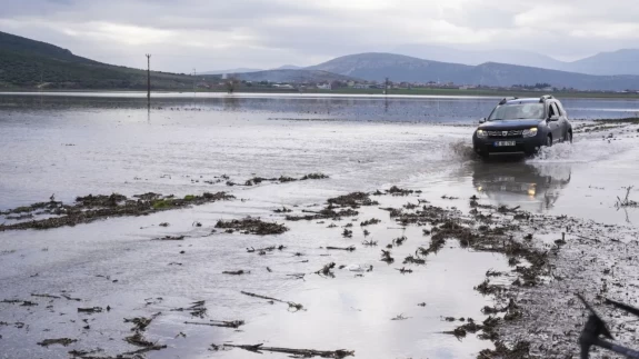 Tarlalar sular altında kaldı, çiftçi bayram etti!