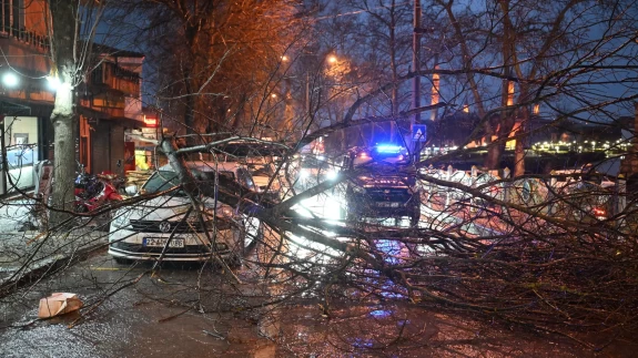 Edirne'de fırtına otomobilin üzerine ağaç devirdi