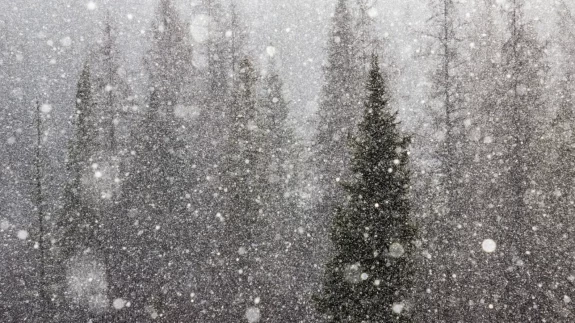 Hangi bölgede yağmur, nerede kar var? İşte il il hava durumu