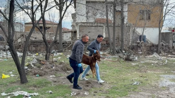 Kayseri’de köpeğin parçaladığı çocuğun 3. ameliyatı gerçekleşti