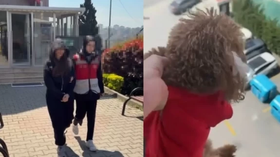 Başakşehir’de kan donduran görüntüler! Köpeği pencereden sarkıtıp cama vurdu