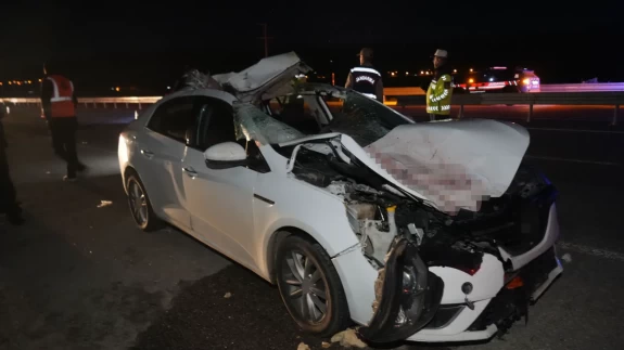 Muş’ta kaza dehşeti: Ata çarpan otomobil savruldu, 7 yaralı!