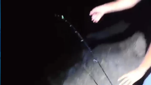 Elazığ'da dev balık oltayı kopardı! O anlar kamerada