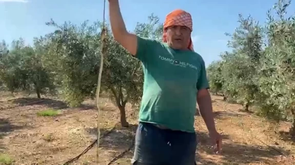 Serik'te 'yılanı ben öldürdüm' videosu başını yaktı: 22 bin liralık cezaya itiraz etti