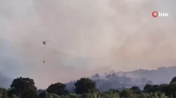 Balıkesir'de orman yangını alarmı!