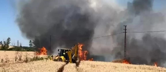 Tekirdağ'da korkutan tarla yangını! 50 dekarlık buğday kül oldu