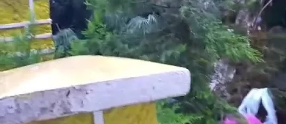 Üsküdar’da fırtına dehşeti!