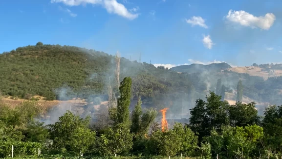 Çorum'da orman yangını: Kontrol altına alındı