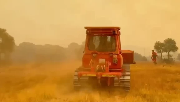 Orman yangınları İspanya'yı esir aldı! Ekipler hayatı pahasına müdahale ediyor