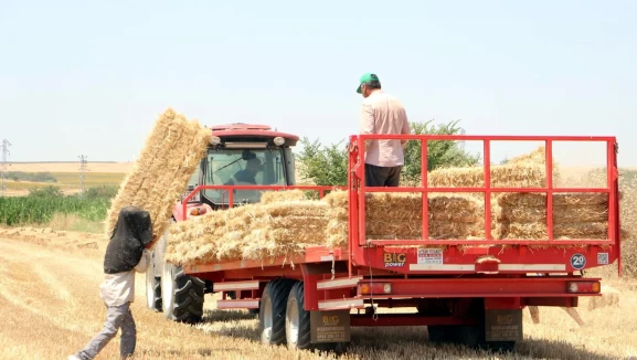 Tekirdağ'da orman yangınlarına karşı acil önlem