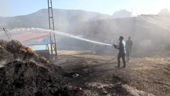 Kastamonu'da ahır yangını: 14 büyükbaş hayvan telef oldu