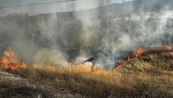 Isparta’da kara yolu kenarındaki yangın kontrol altına alındı