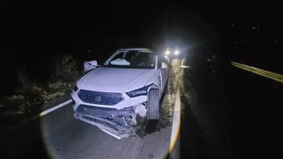 Tunceli'de yola aniden çıkan ayıya cip çarptı!